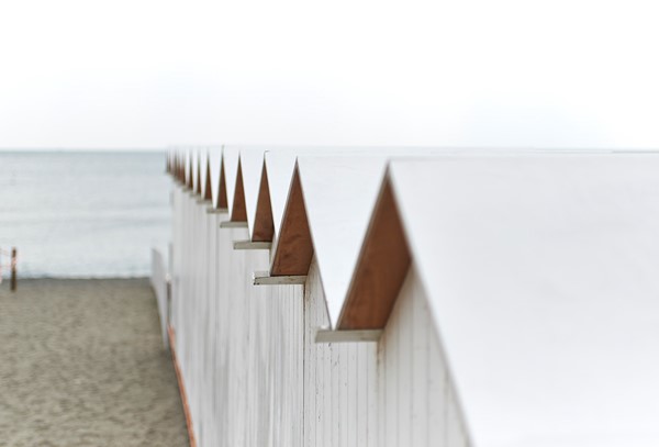 20+ years experience with new & traditional photography techniques